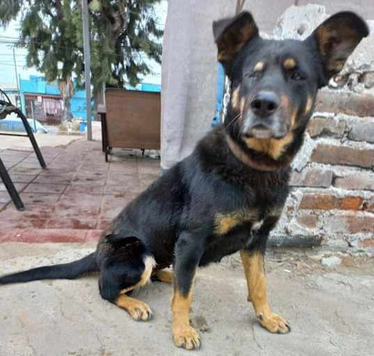 Photo of Catalina