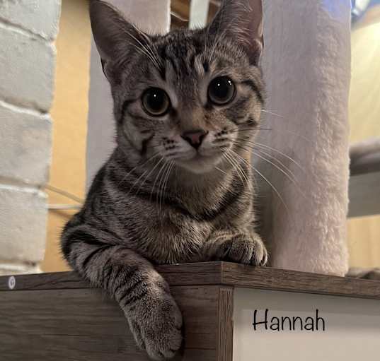 Photo of Hannah