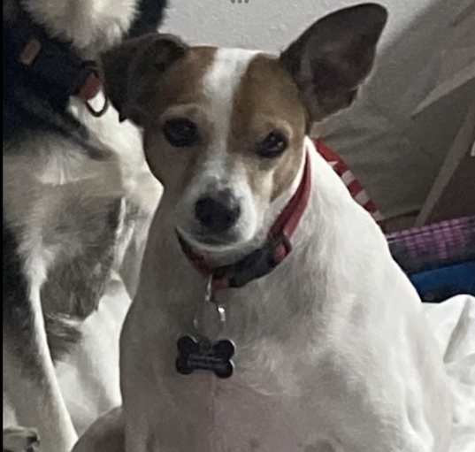 Photo of Spot in Houston