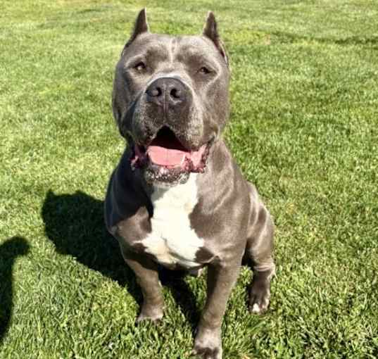 Photo of Keeper