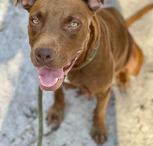 Photo of Diamond