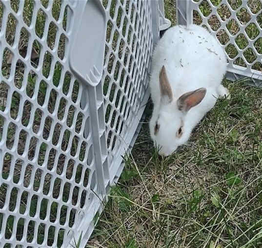 Photo of Cloudy