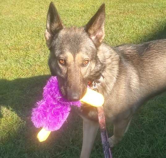 Photo of STORMY