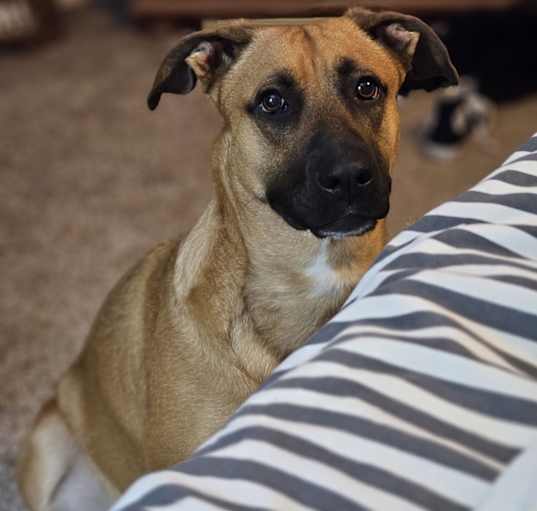 Photo of Zoe
