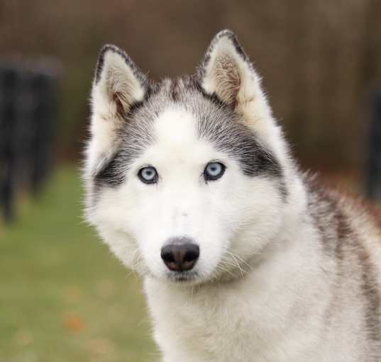 Photo of Juneau
