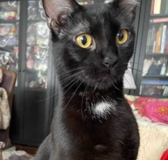 Photo of Luna Moonstone