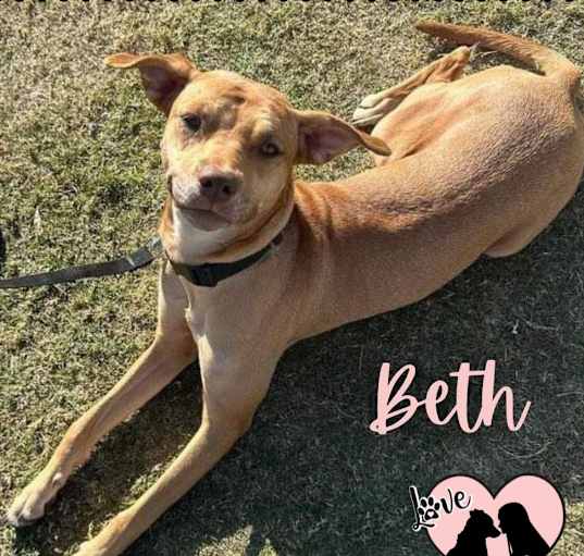 Photo of Beth