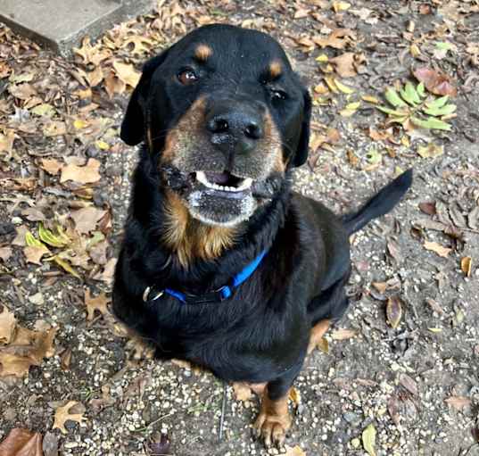 Photo of Zeus