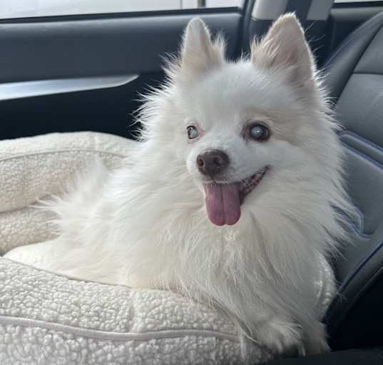 Photo of Miss Leila