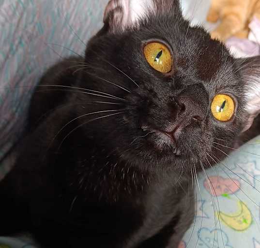 Photo of Luka