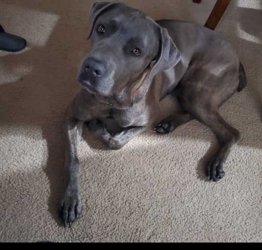 Photo of Zeus