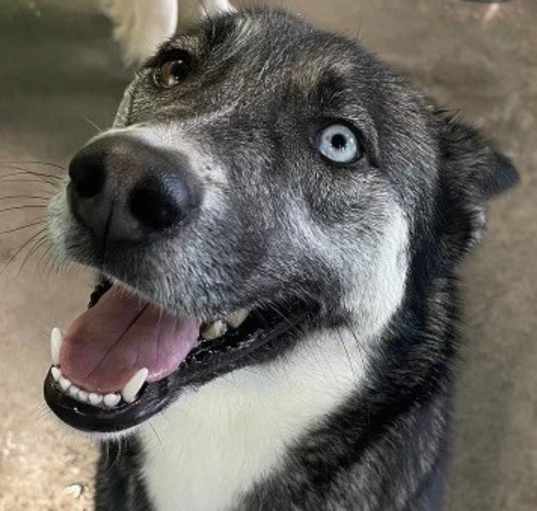 Photo of Sasha