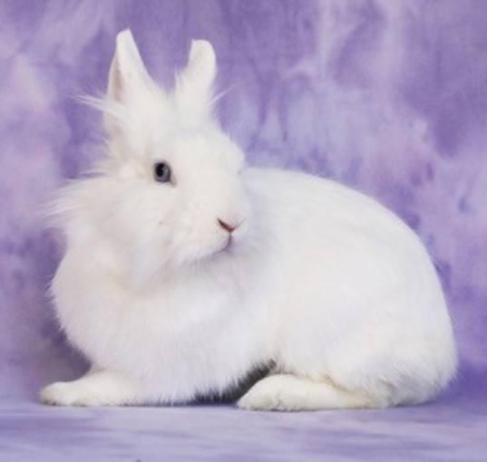 Photo of Aubriella aka Linnea Celeste