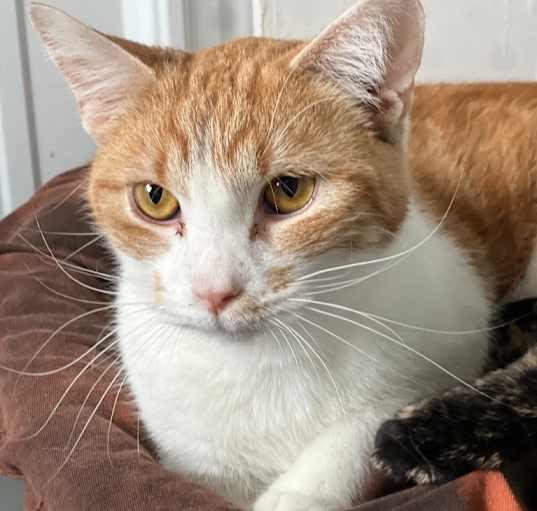 Photo of Tubby