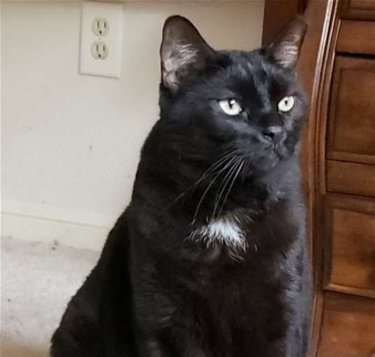 Photo of Julian