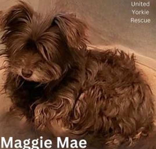 Photo of Maggie Mae