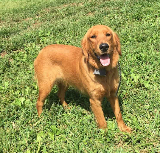 Photo of Harper
