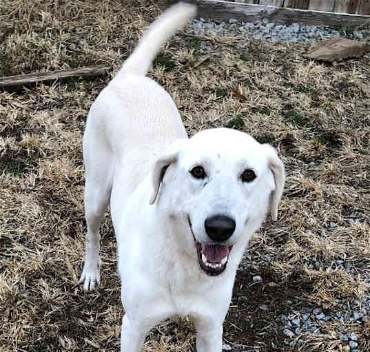 Photo of Bijou