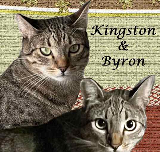 Photo of KINGSTON & BYRON