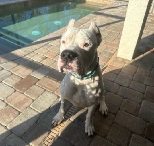 Photo of Marvin