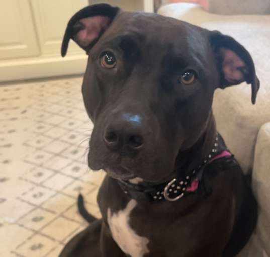 Photo of Gigi