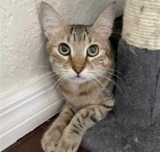 Photo of Pumpkin