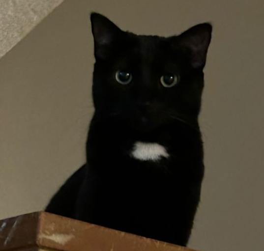 Photo of Sabrina