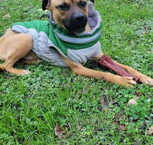 Photo of Finley