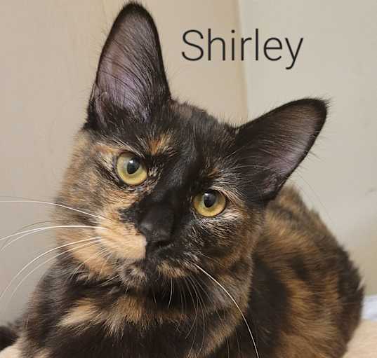 Photo of Shirley