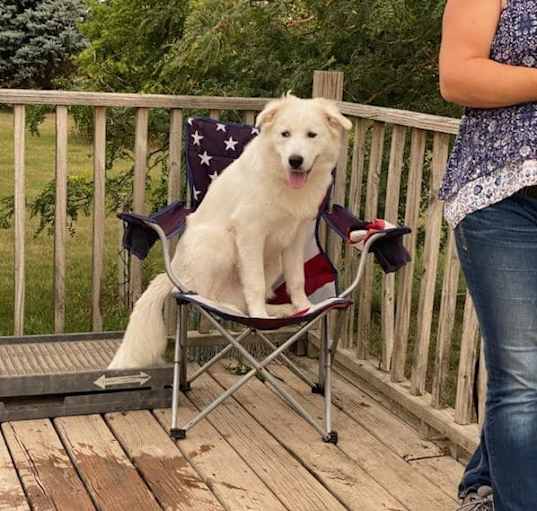 Photo of Buddy