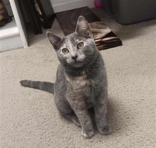 Photo of Pixie [CP]