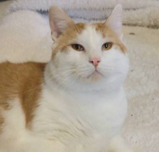 Photo of Tom Tom