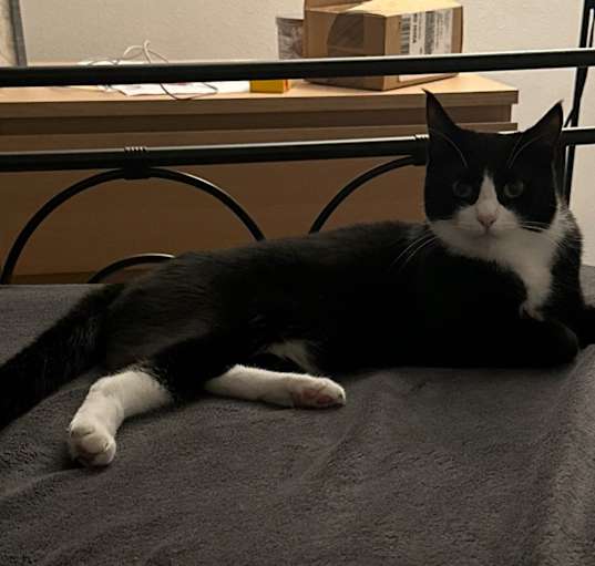 Photo of Billy