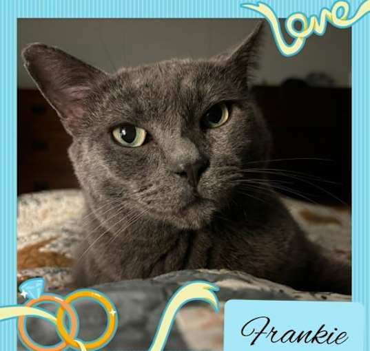 Photo of Frankie