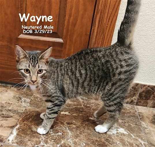 Photo of Wayne