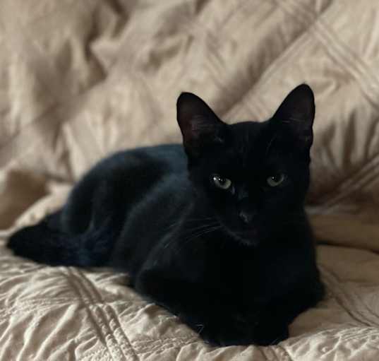 Photo of Rodger