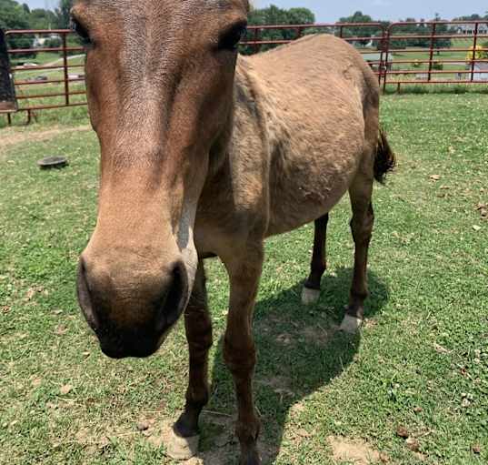 Photo of Zeke