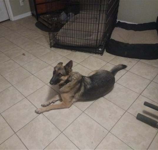 Photo of LILLY 2 (COURTESY POST)