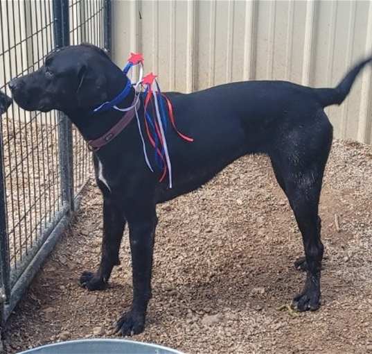 Photo of Betty