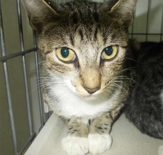 Photo of Libby