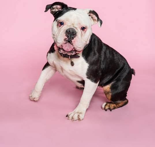 Photo of Hershey