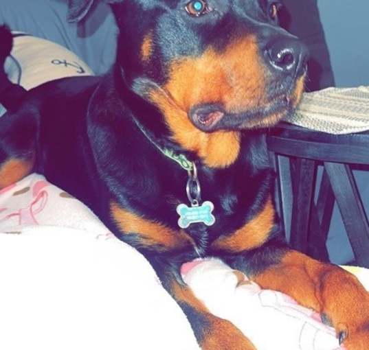 Photo of Captain