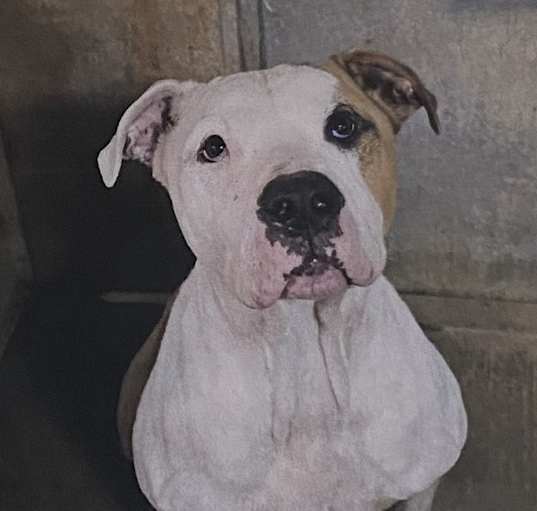 Photo of Heist