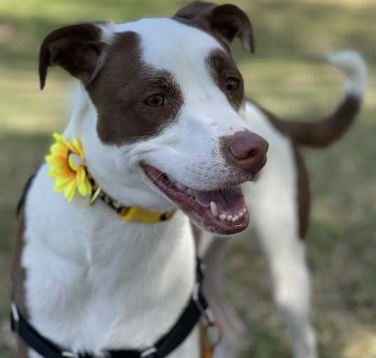 Photo of Chloe