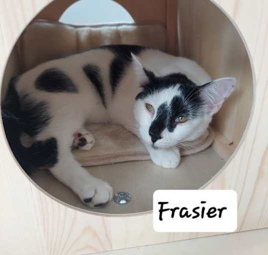 Photo of Frasier