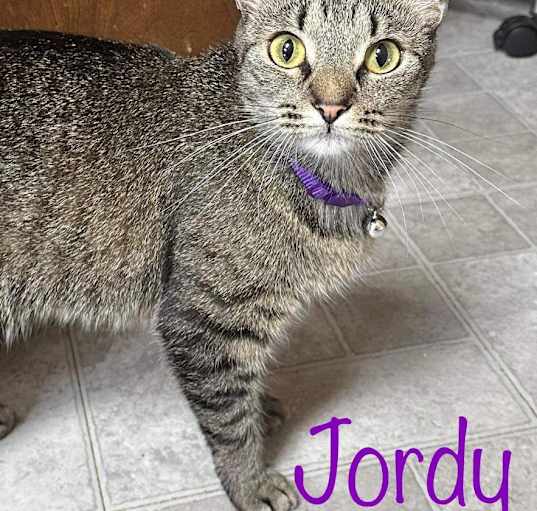 Photo of Jordy