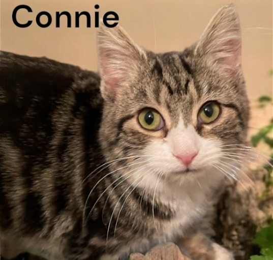 Photo of Connie