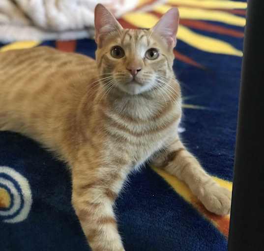 Photo of Skyler