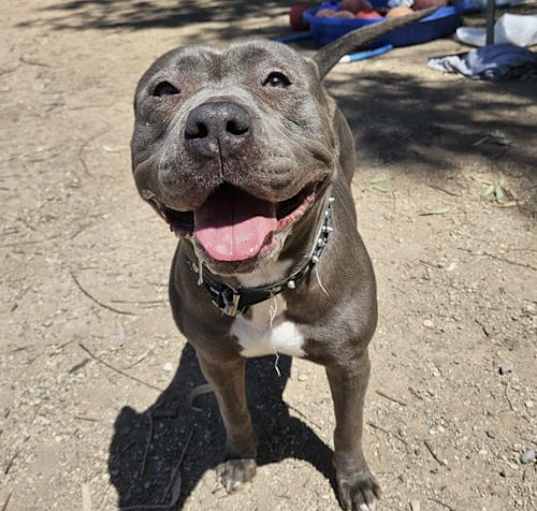 Photo of Roxy