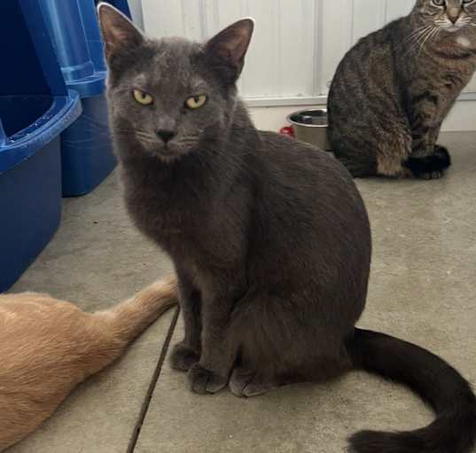 Photo of Wednesday